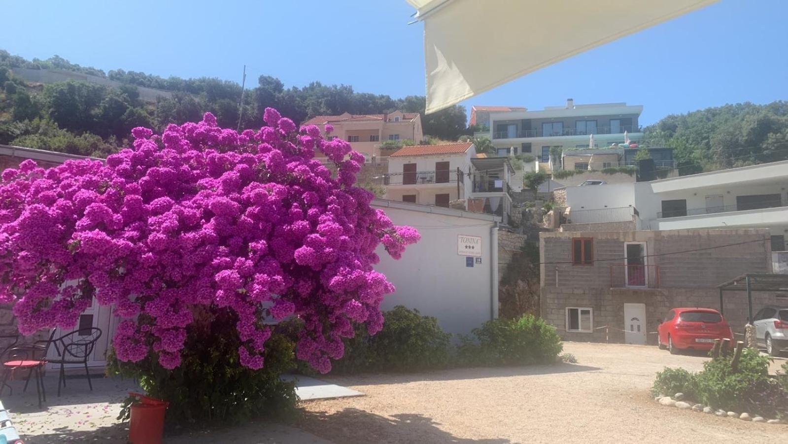 Studios Tonina Apartment Zaton (Dubrovnik-Neretva)