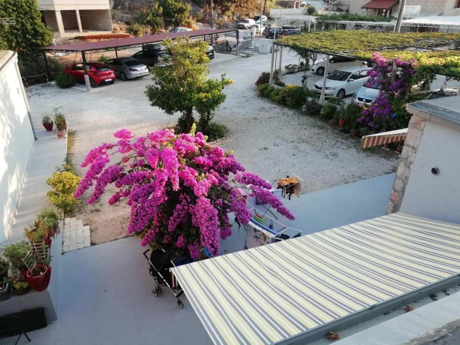 Apartment Studios Tonina *