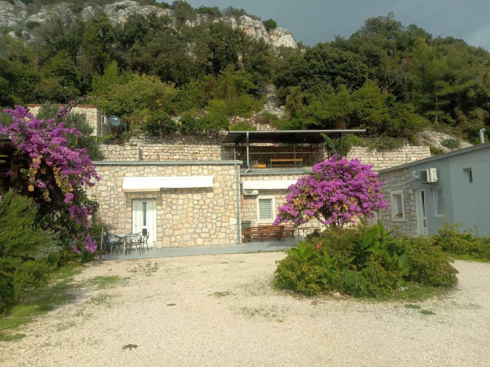 Studios Tonina Zaton (Dubrovnik-Neretva)